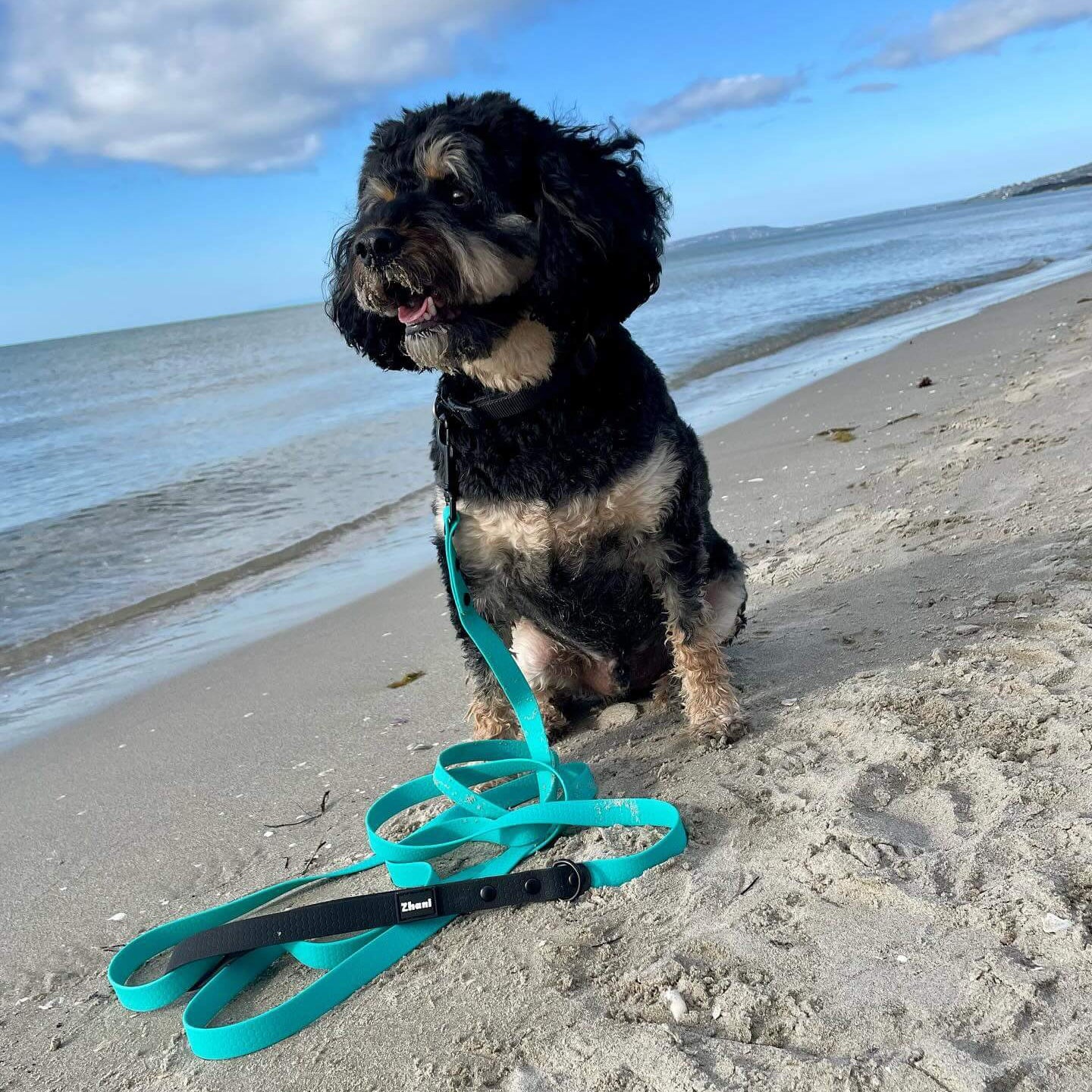 Bundle & Save 15% - Aqua Set