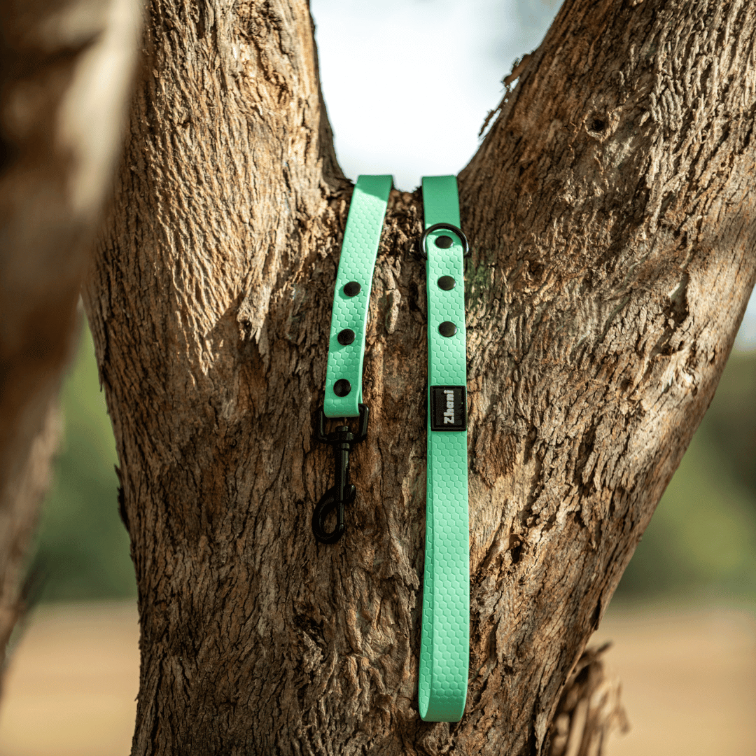 Mint - Long Line Dog Lead; Washable; Light; Strong; Comfortable; Waterproof