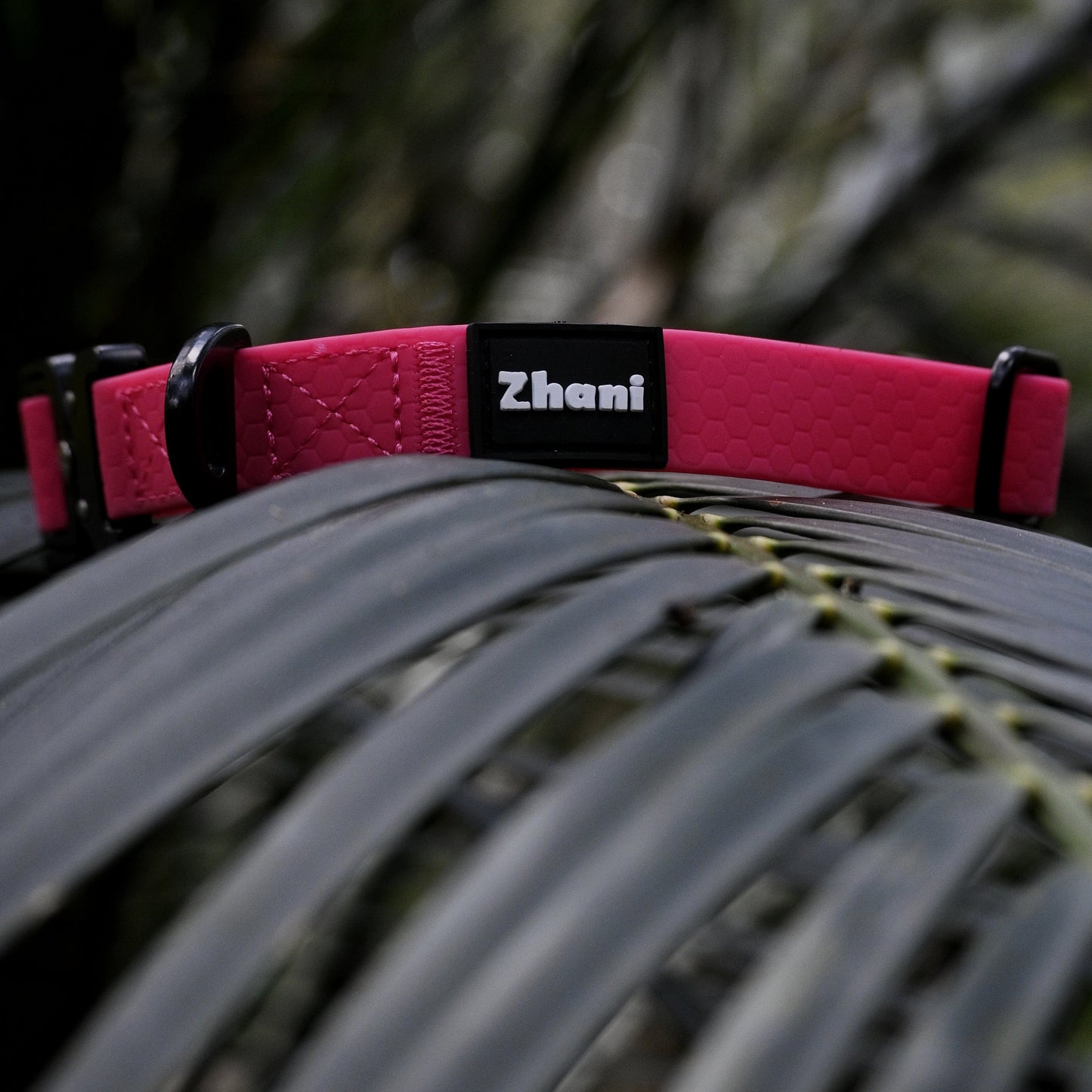 Pink dog collar with 'Zhani' brand name on a leafy background