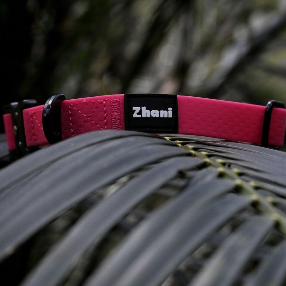 Pink dog collar with 'Zhani' brand name on a leafy background