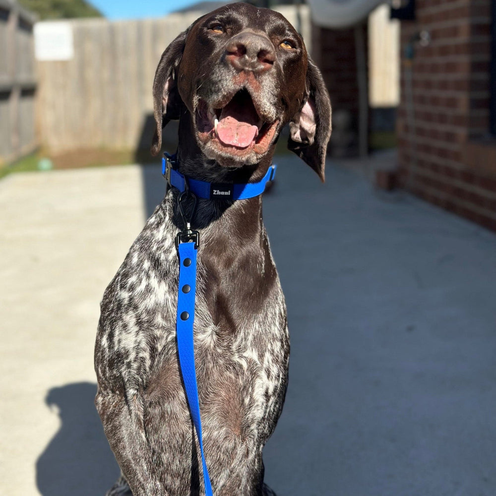 Royal Blue - Long Line Dog Lead; Washable; Light; Strong; Comfortable; Waterproof