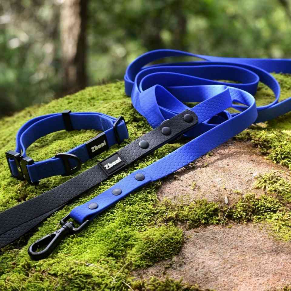 Royal blue and black dog collar and leash set on a mossy rock with a blurred natural background
