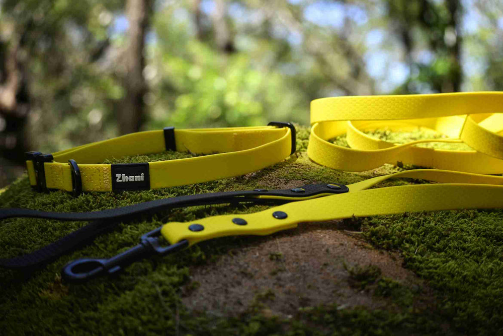 Yellow dog collar and leash on a stone surface with blurred greenery in the background