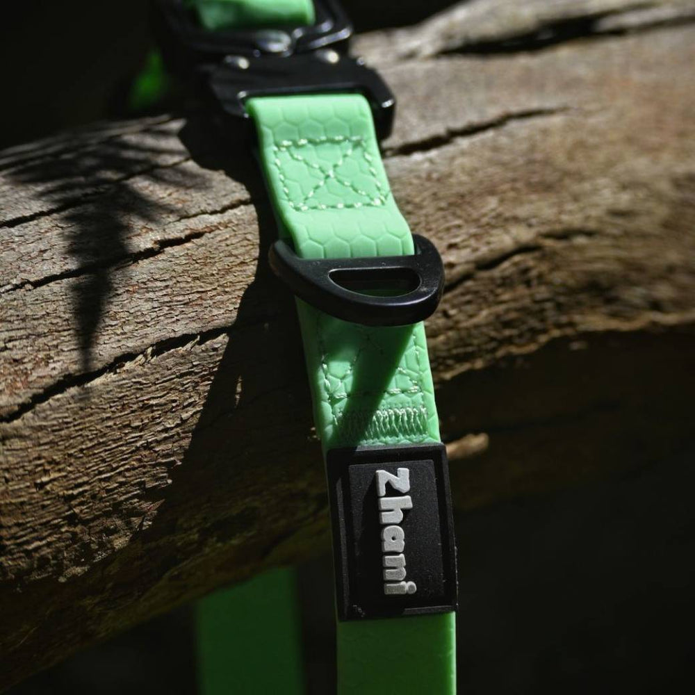 Mint dog collar with black buckle on a wooden surface