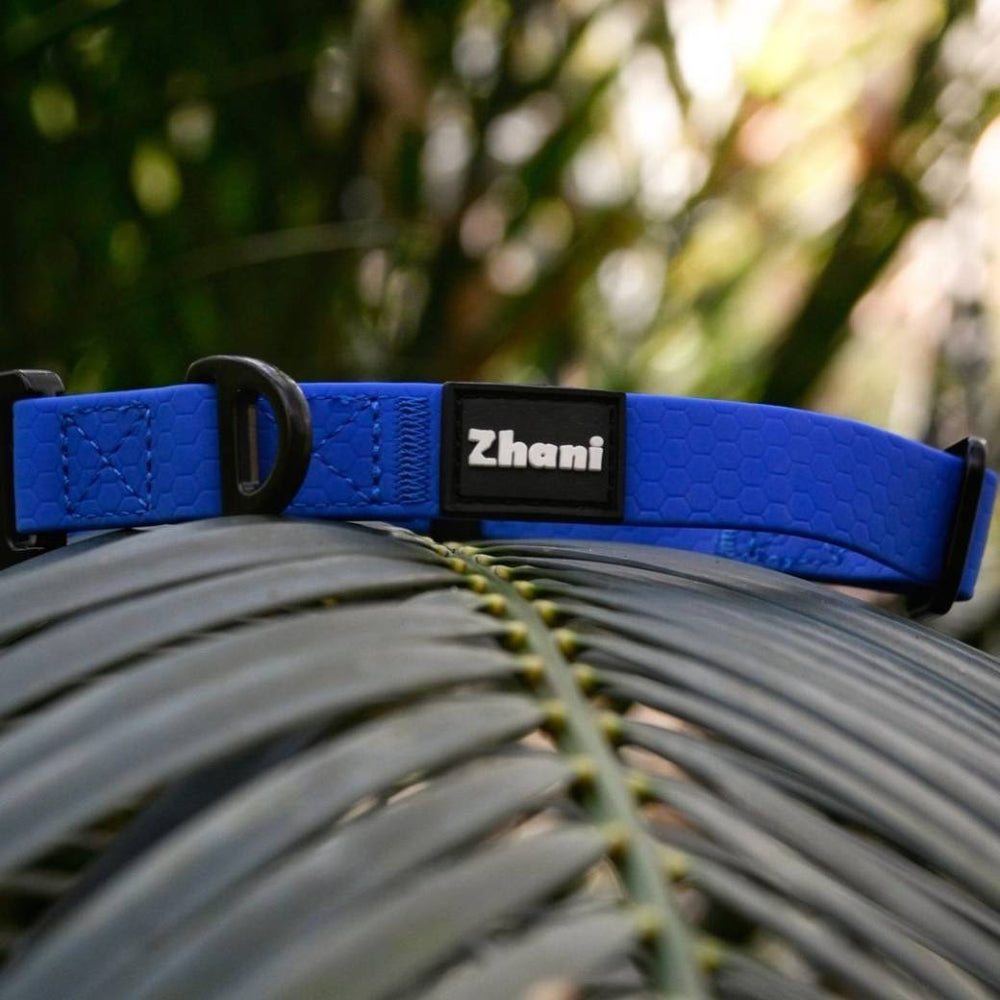 Royal Blue dog collar with 'Zhani' branding on a grassy background