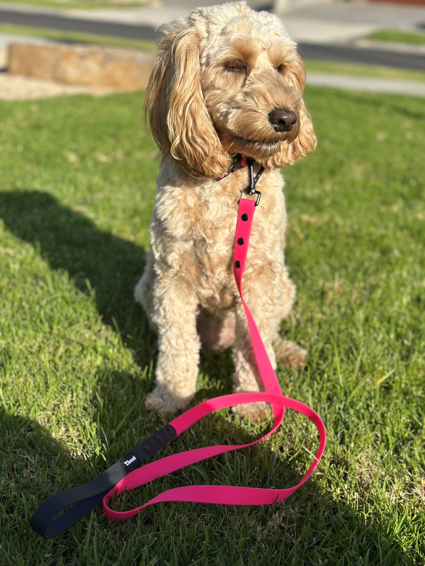Pink & Black - Long Line Dog Lead; Washable; Light; Strong; Comfortable