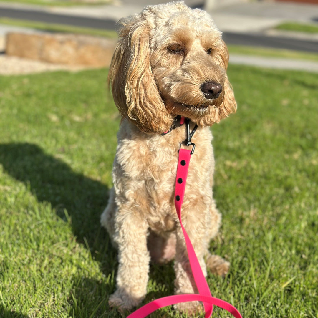 Pink & Black - Long Line Dog Lead; Washable; Light; Strong; Comfortable