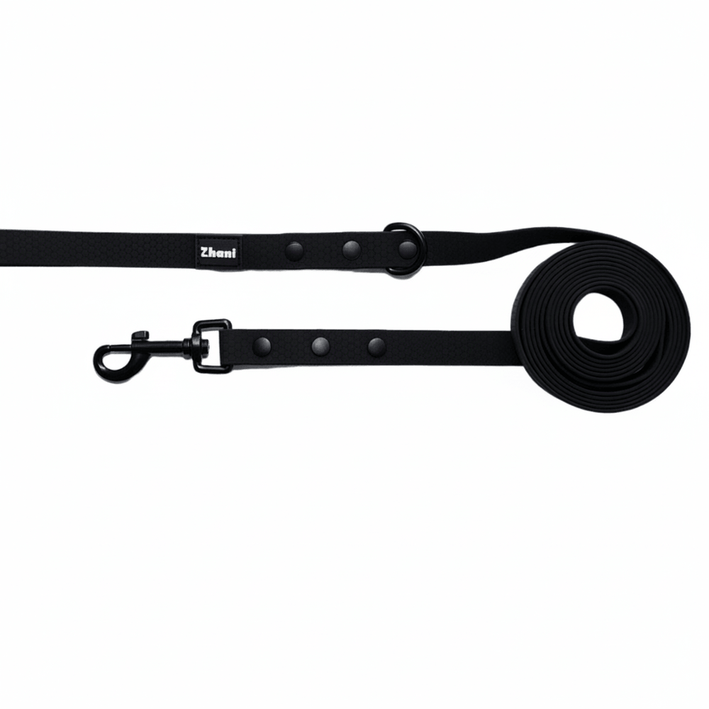 Zhani black dog long line lead on white background