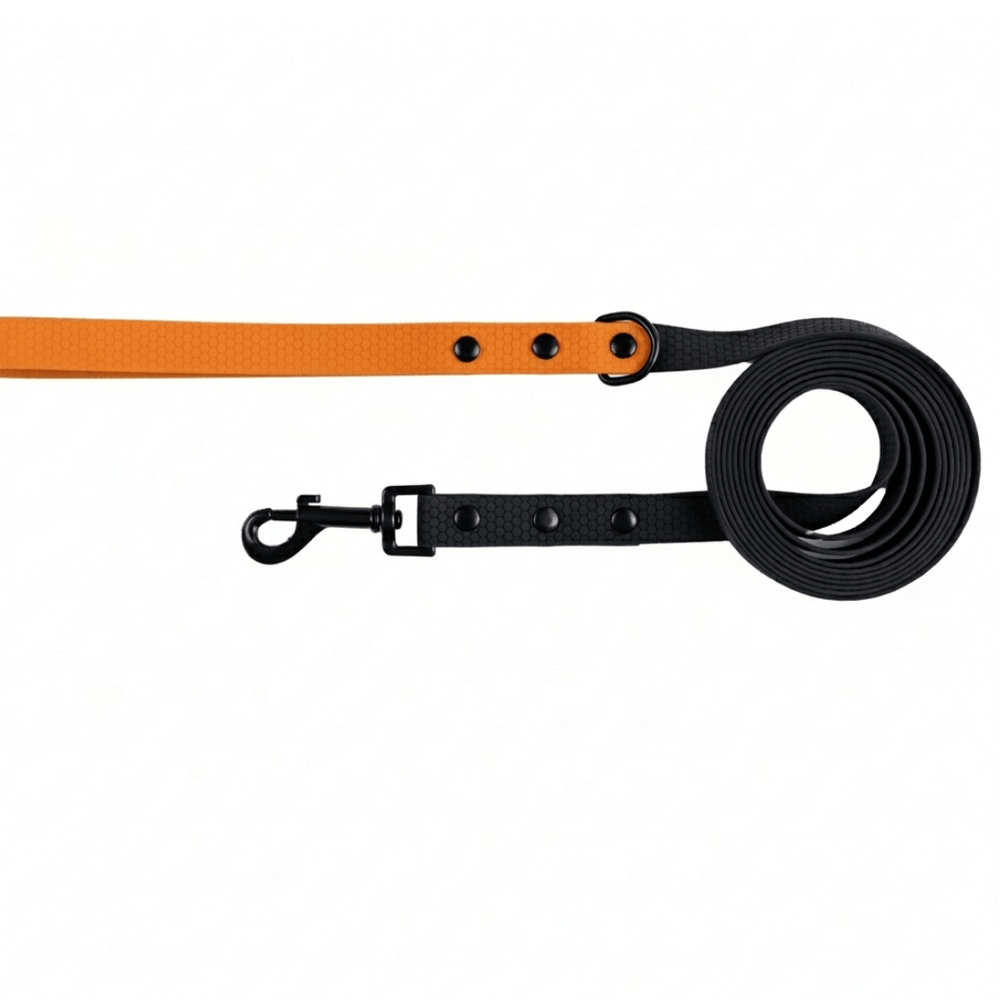 Zhani black with orange dog long line lead on white background