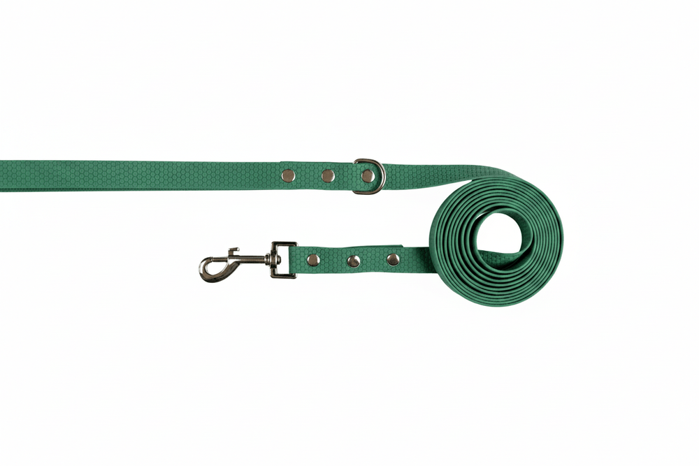 Zhani green dog long line lead on white background