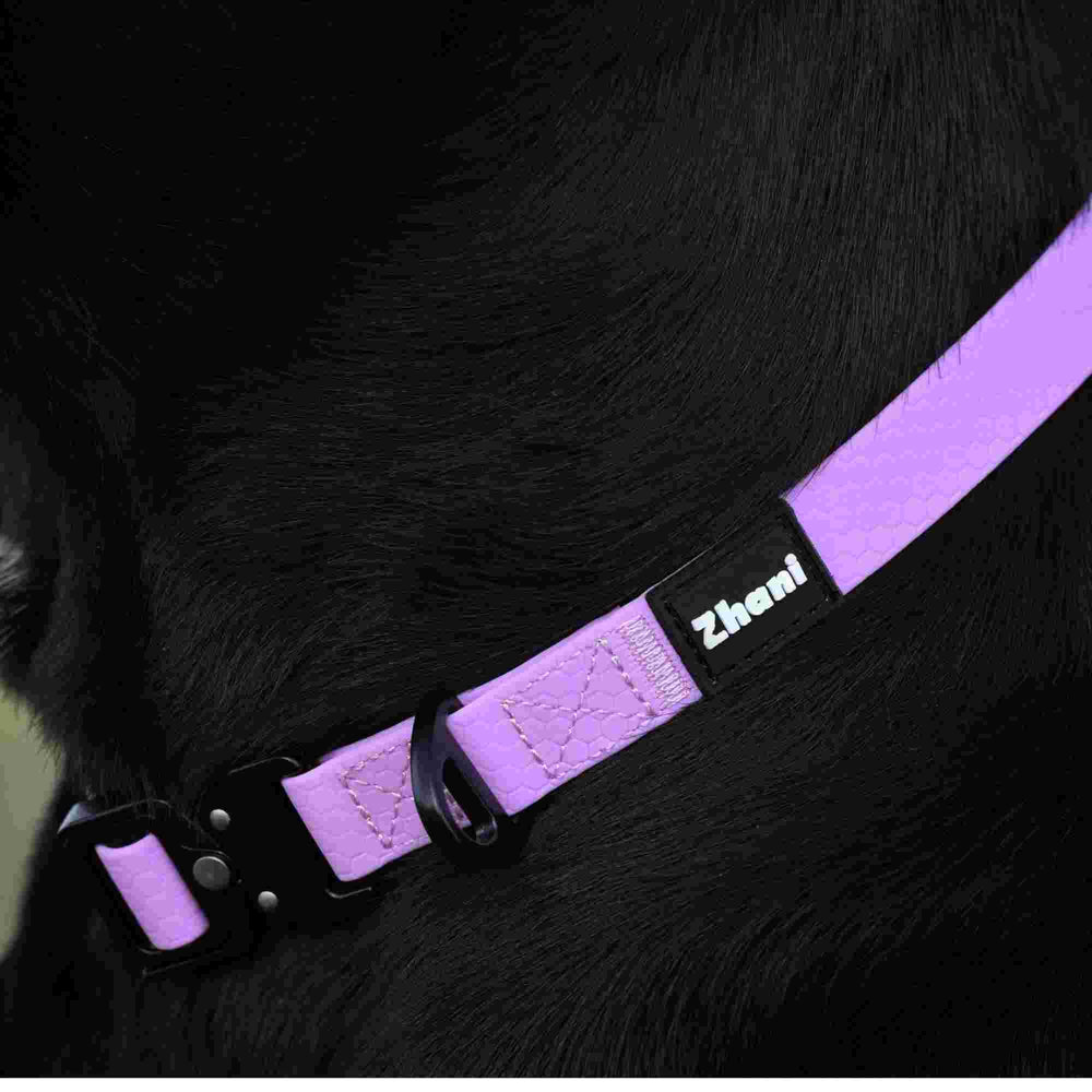 Zhani lilac dog collar on a black dog