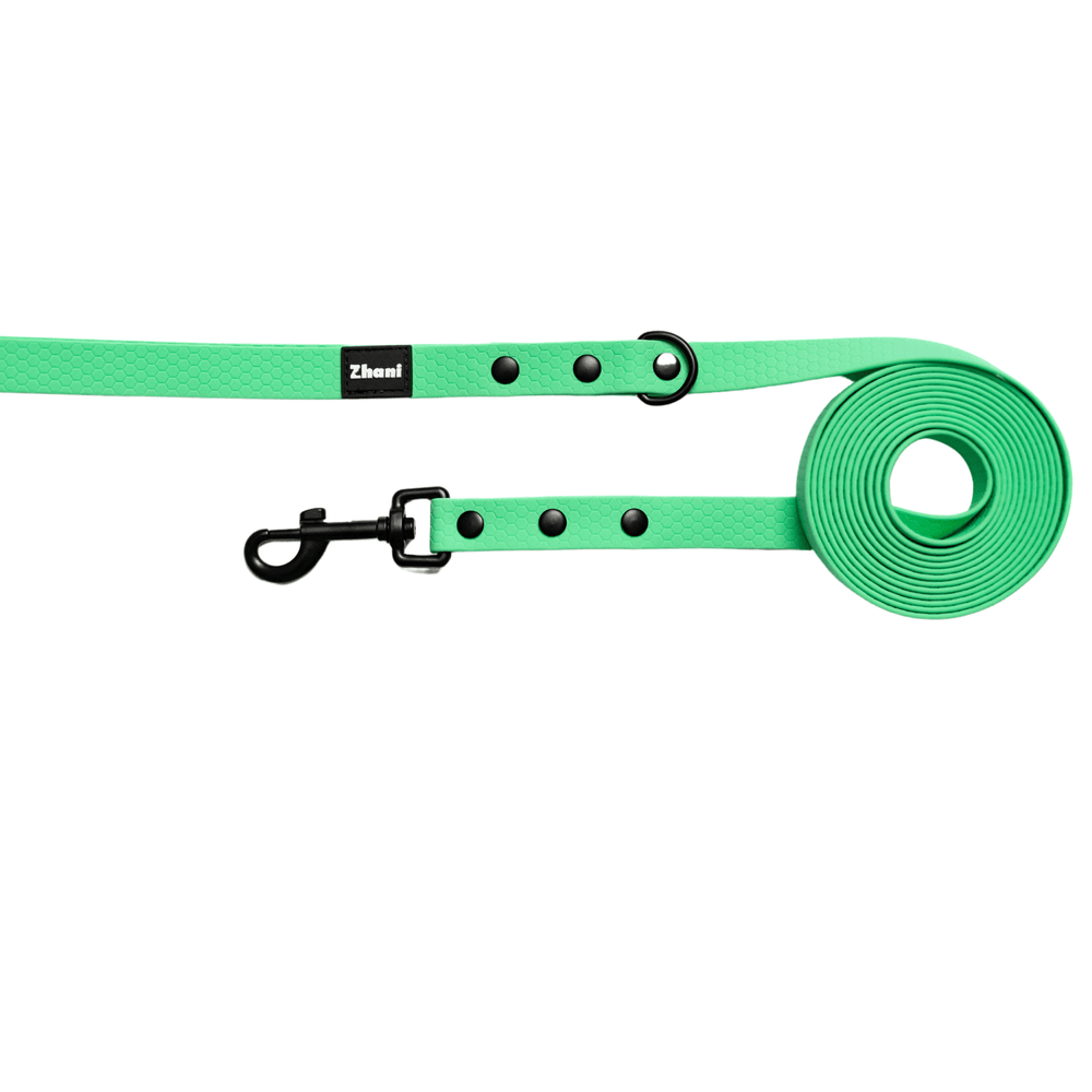 Zhani mint dog long line lead on white background