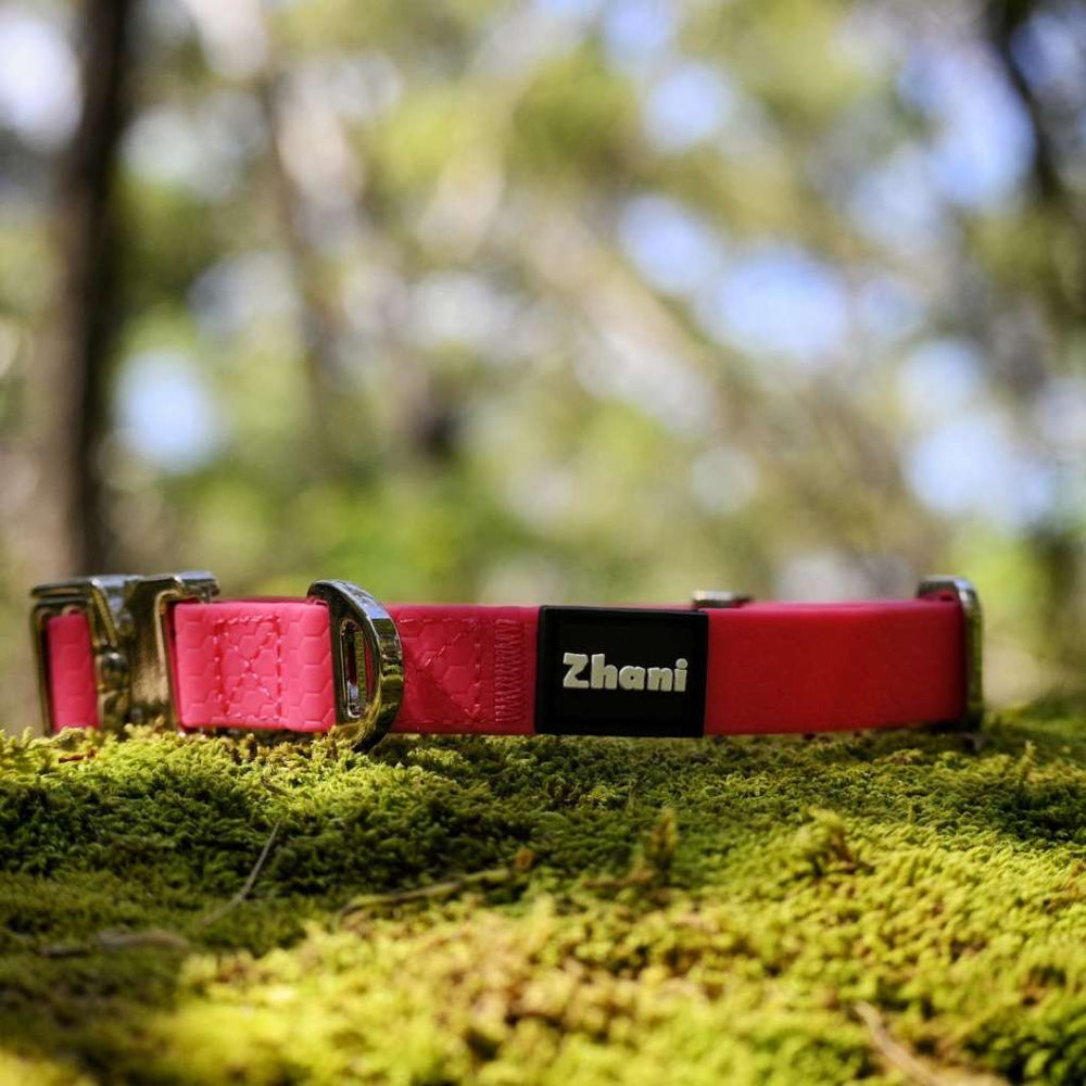 Zhani pink dog collar on moss