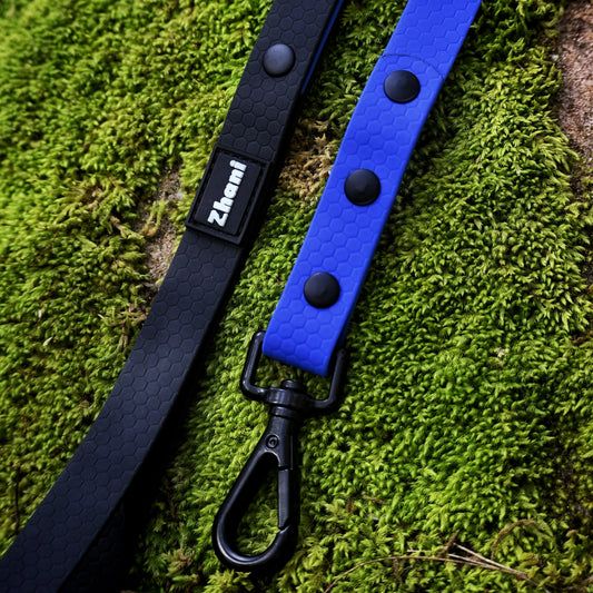 The Ultimate Guide to Dog Long Leads: Freedom, Safety and Connection