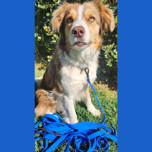 Washable Long Line Leads