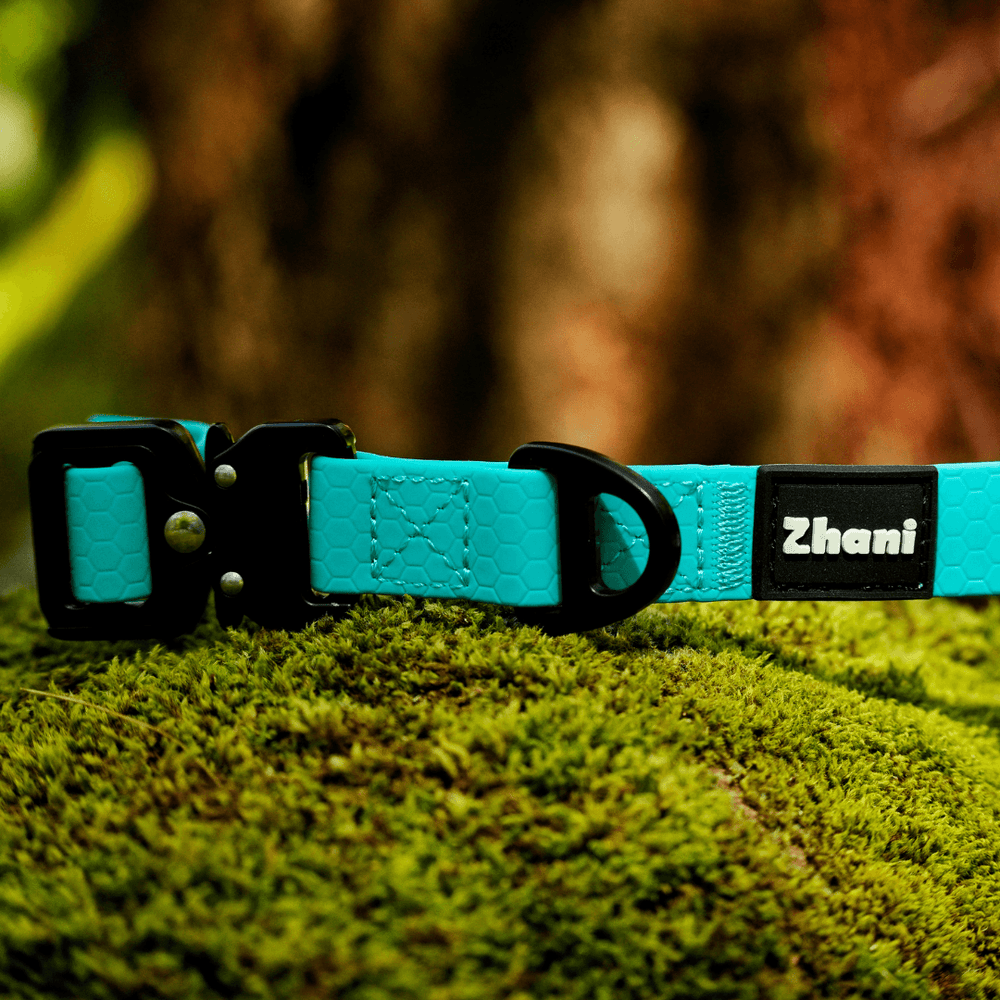 A turquoise blue dog collar with black hardware and a black brand label reading 'Zhani', resting on green moss with a blurred forest background.