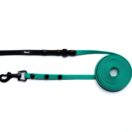 Teal dog leash with black clip and buckle on a white background