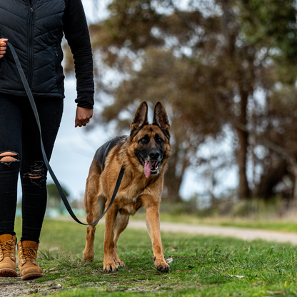 Black Long Line Dog Lead; Washable; Light; Strong; Comfortable; Waterproof