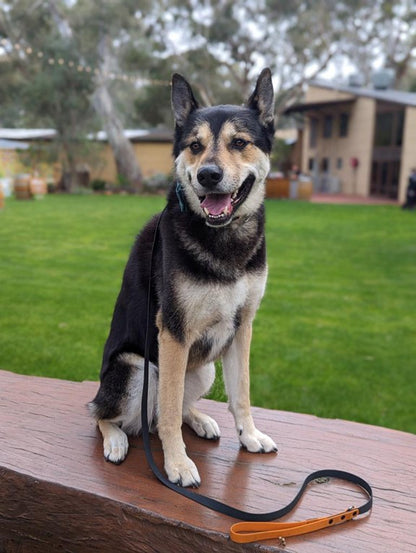 Black with Orange Handle - Long Line Dog Lead; Washable; Light; Strong; Comfortable