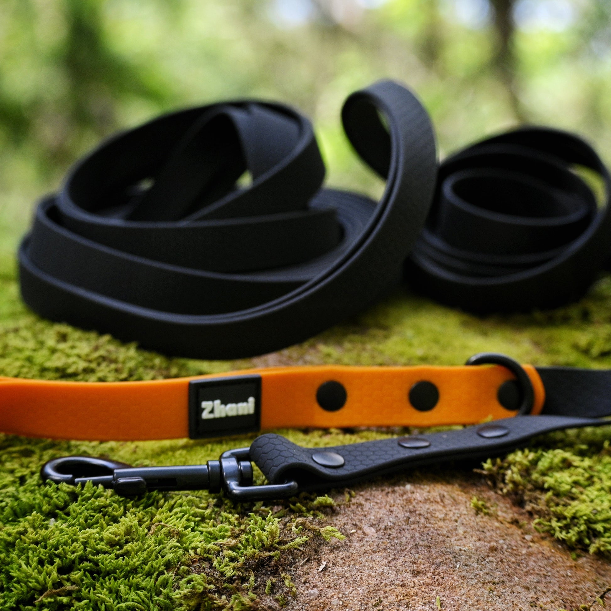 Black and orange dog leash on a mossy ground with blurred greenery in the background