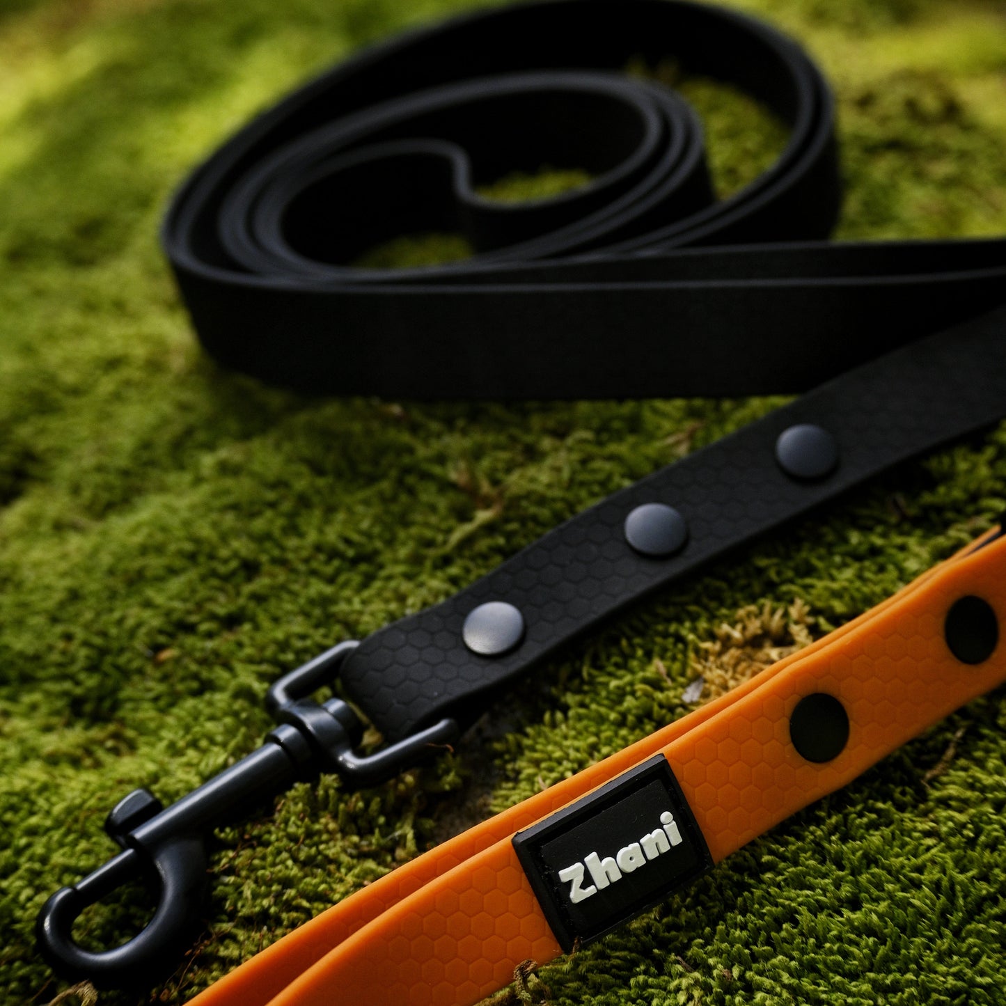 Black and orange dog leashes on a green mossy surface