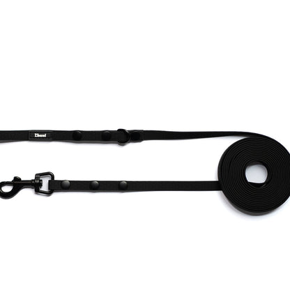 Black dog leash with clip on a white background