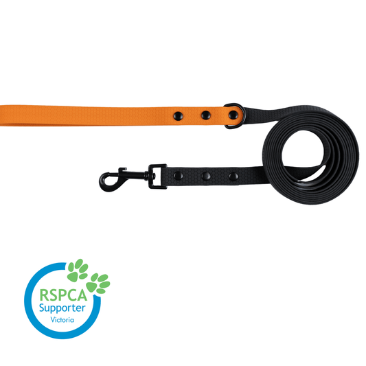 Black with Tan Handle - Long Line Dog Lead; Washable; Light; Strong; Comfortable; Waterproof