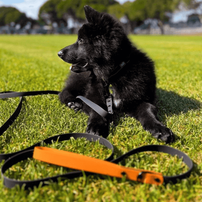 Black with Tan Handle - Long Line Dog Lead; Washable; Light; Strong; Comfortable; Waterproof