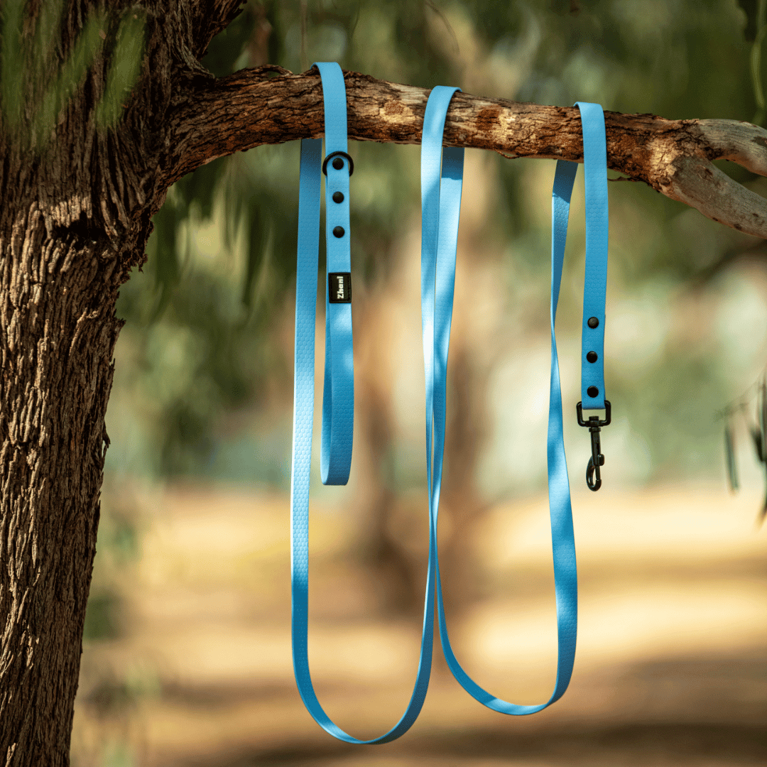 Blue - Long Line Dog Lead; Washable; Light; Strong; Comfortable; Waterproof