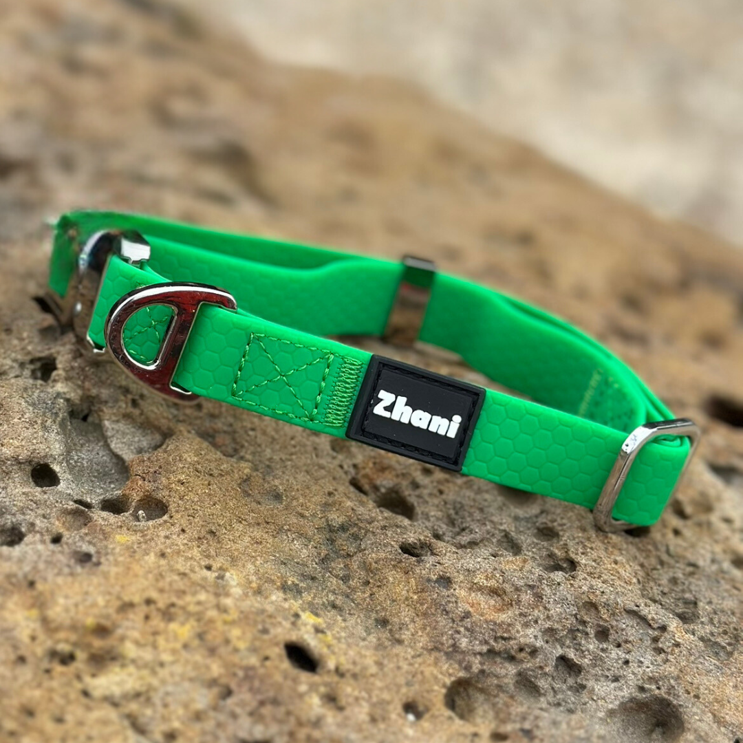 Green dog collar with a Zhani brand label on a textured stone surface