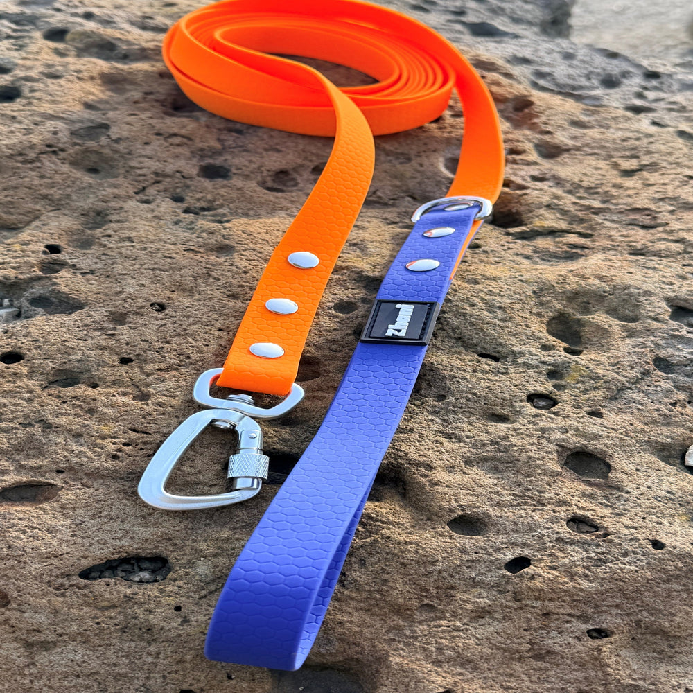 Zhani Orange Lead