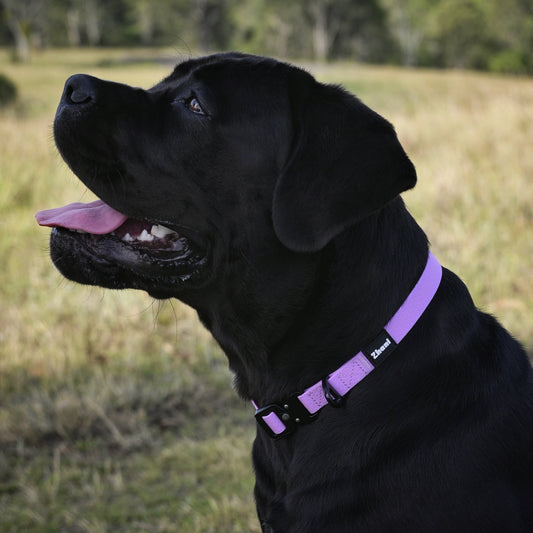 Bundle & Save 15% - Lilac Set