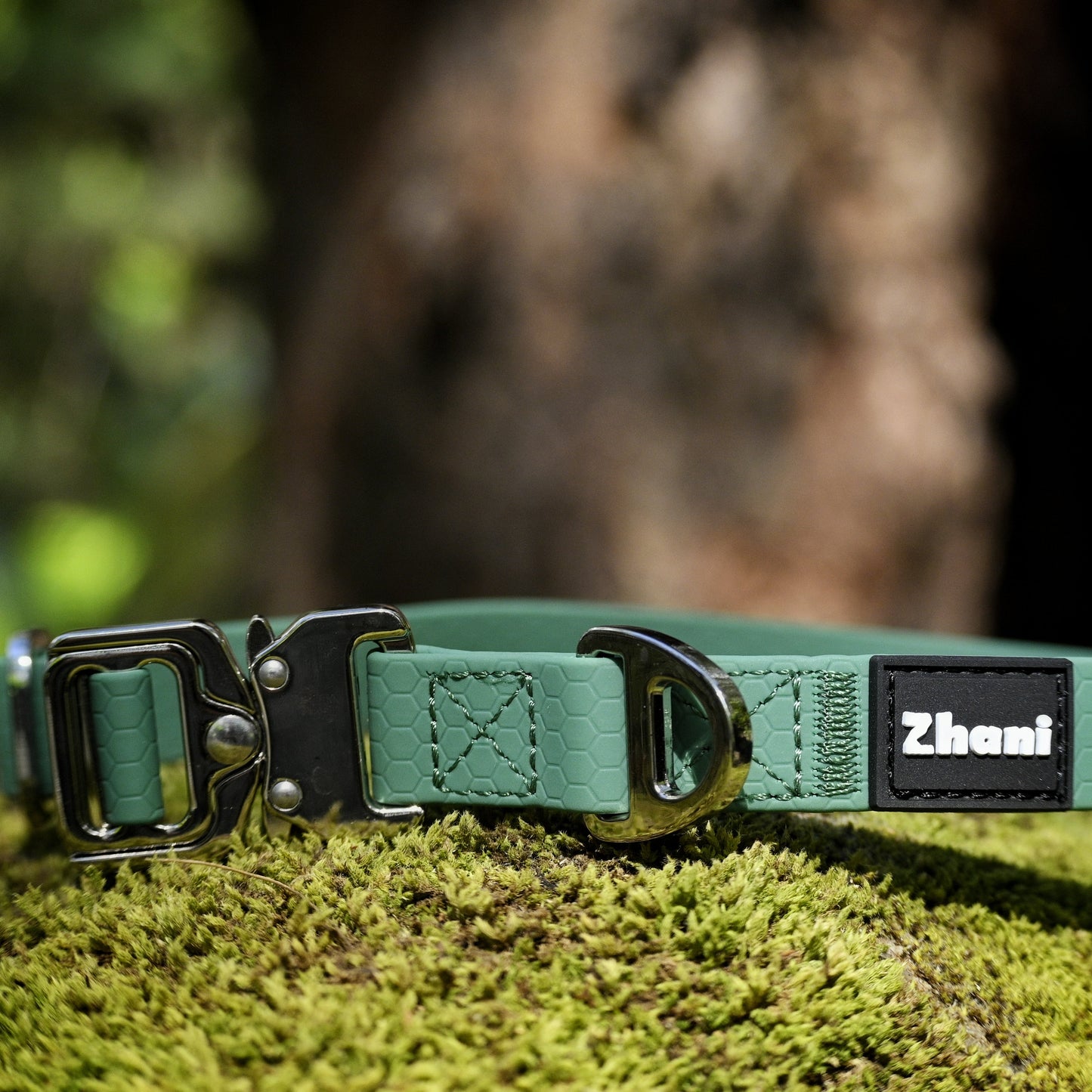 Green dog collar with silver buckle and 'Zhani' brand label on a mossy surface.