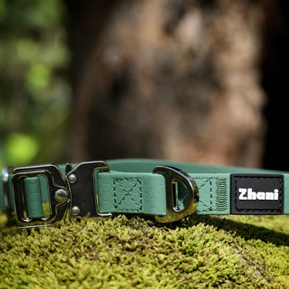 Green dog collar with silver buckle and 'Zhani' brand label on a mossy surface.