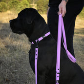 Bundle & Save 15% - Lilac Set