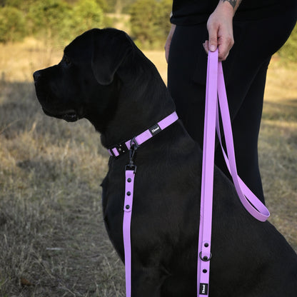 Bundle & Save 15% - Lilac Set