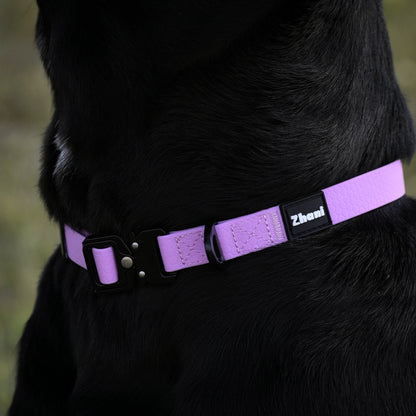 Zhani Lilac dog collar on a black dog.