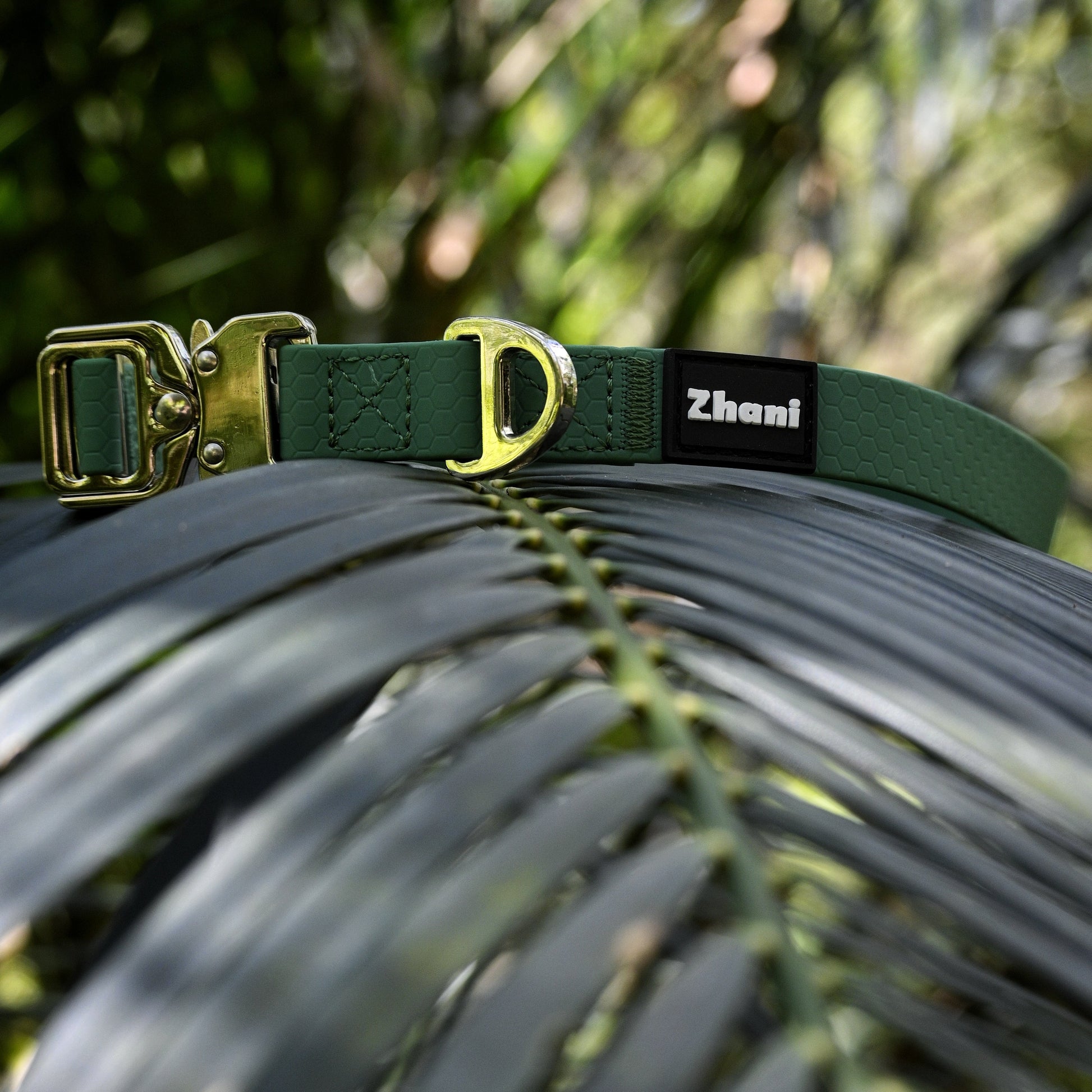 Green dog collar with silver buckle on a palm leaf, brand 'Zhani' visible