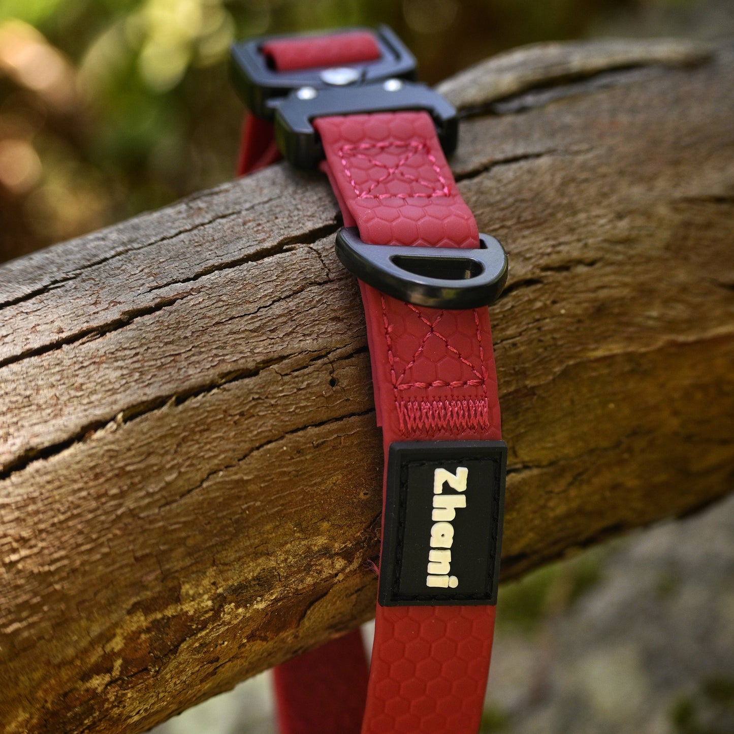 Maroon dog collar with black buckle on a wooden branch