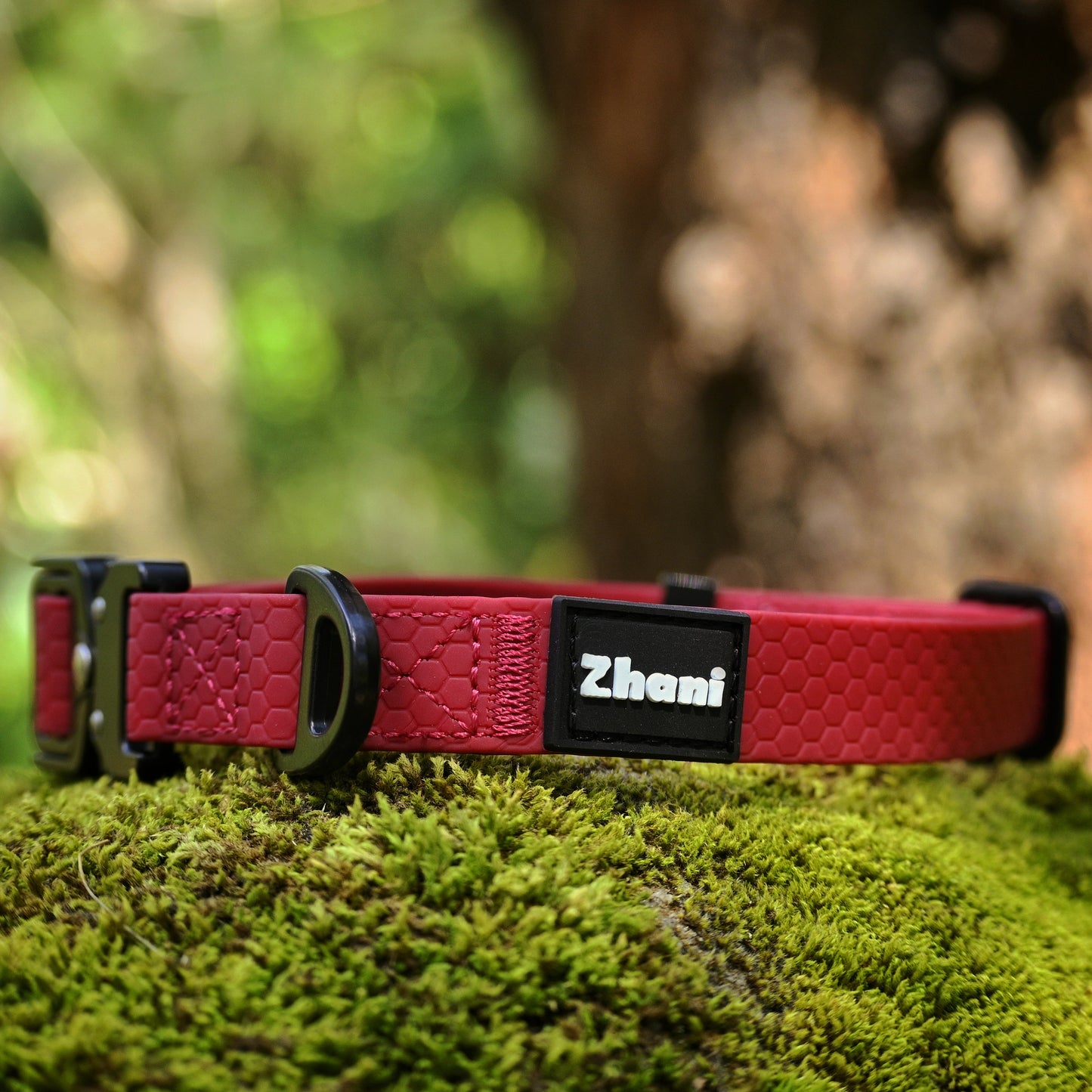 Maroon dog collar with black buckle on a green mossy surface