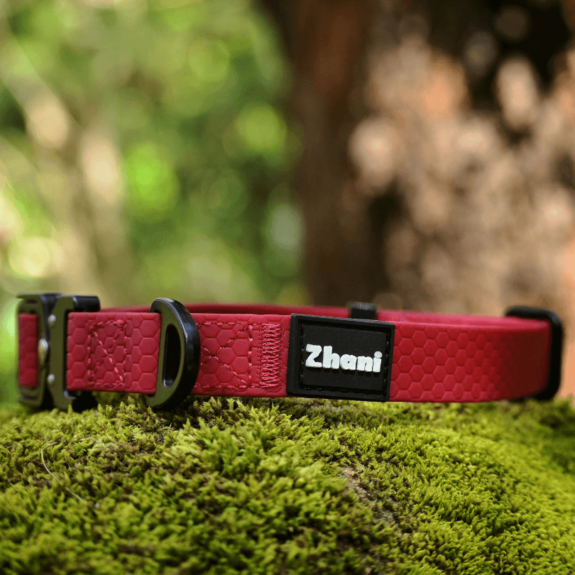 A red textured dog collar with a black adjustable buckle and a black name patch reading 'Zhani', resting on green moss outdoors with a blurred forest background.
