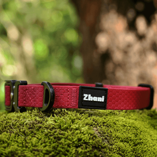 A red textured dog collar with a black adjustable buckle and a black name patch reading 'Zhani', resting on green moss outdoors with a blurred forest background.