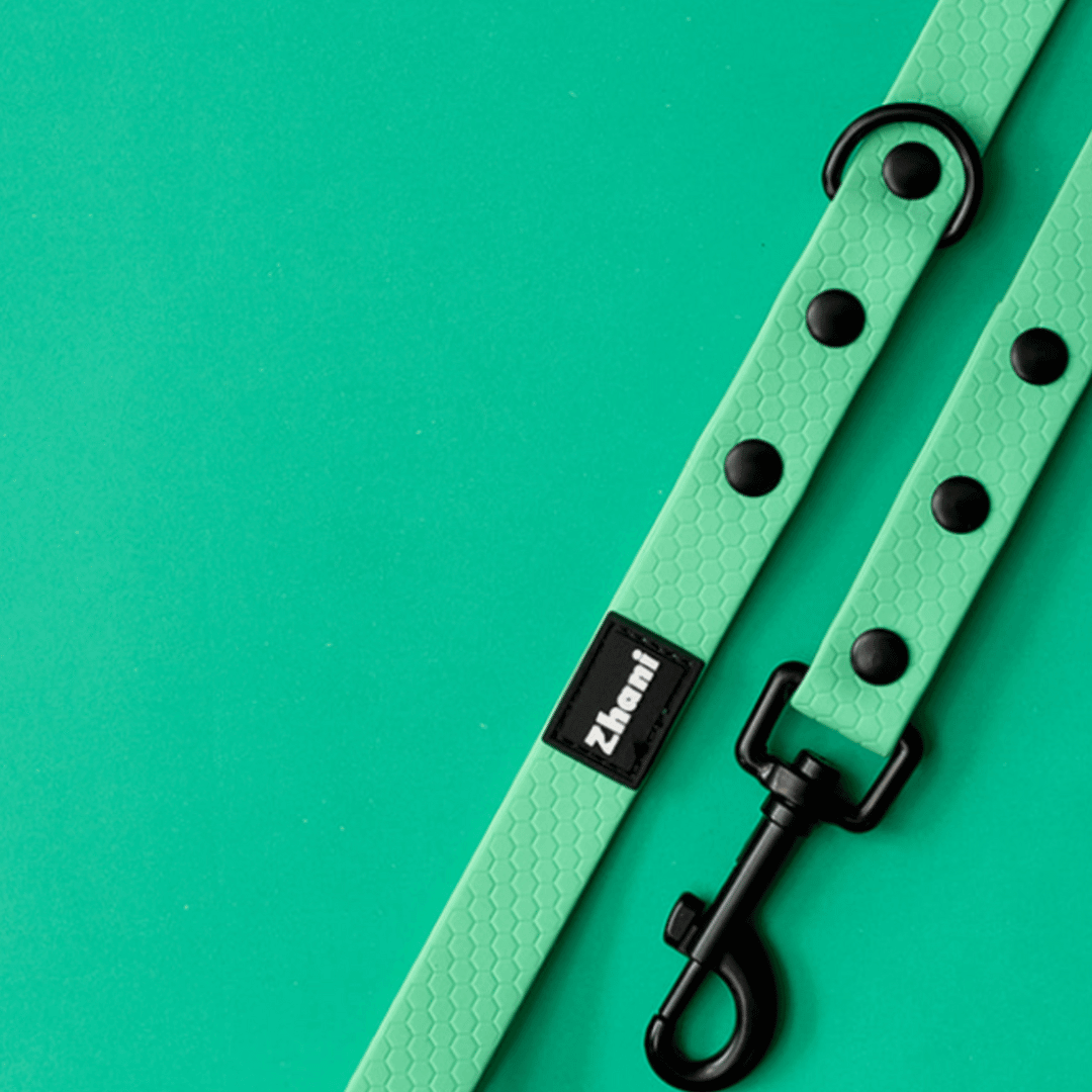 Mint - Long Line Dog Lead; Washable; Light; Strong; Comfortable; Waterproof