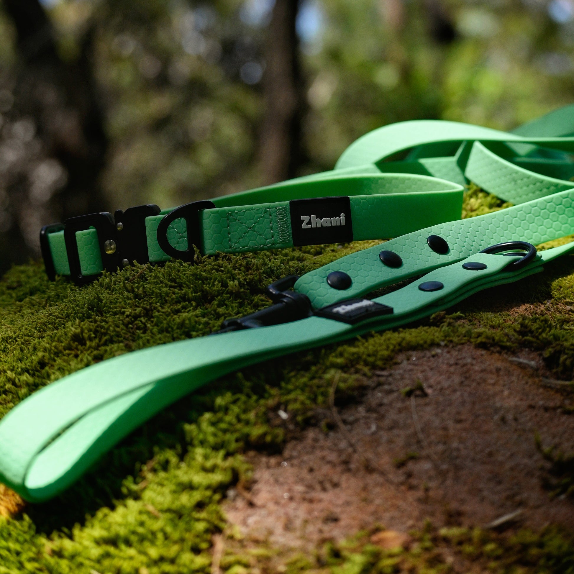 Mint dog collar and leash set on a mossy surface with blurred natural background