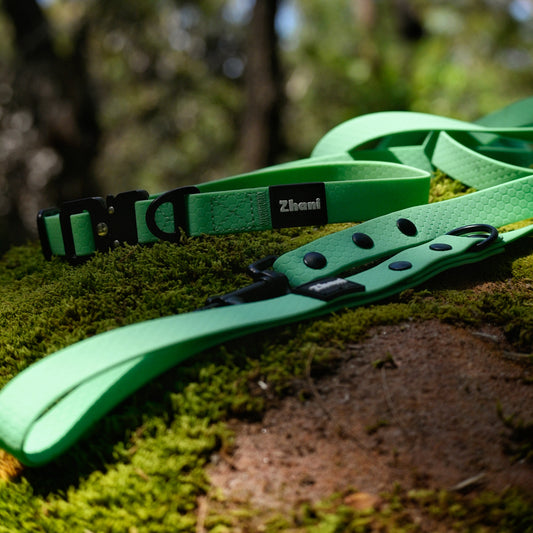 Mint dog collar and leash set on a mossy surface with blurred natural background