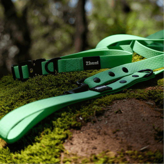 A green dog leash with black hardware and a small black brand tag reading 'Zhani', resting on mossy ground outdoors.