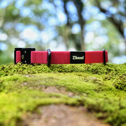 Pink dog collar with black hardware on a mossy surface