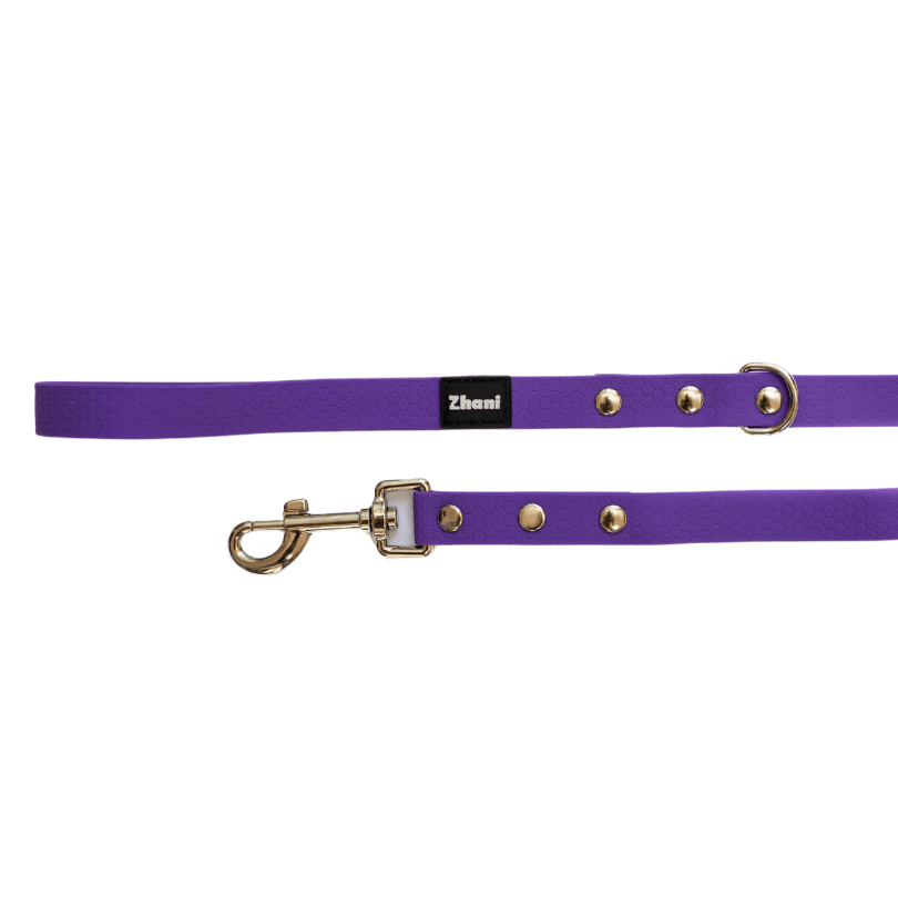 A purple dog leash with silver hardware and a black brand label reading 'Zhani', shown on a plain white background.