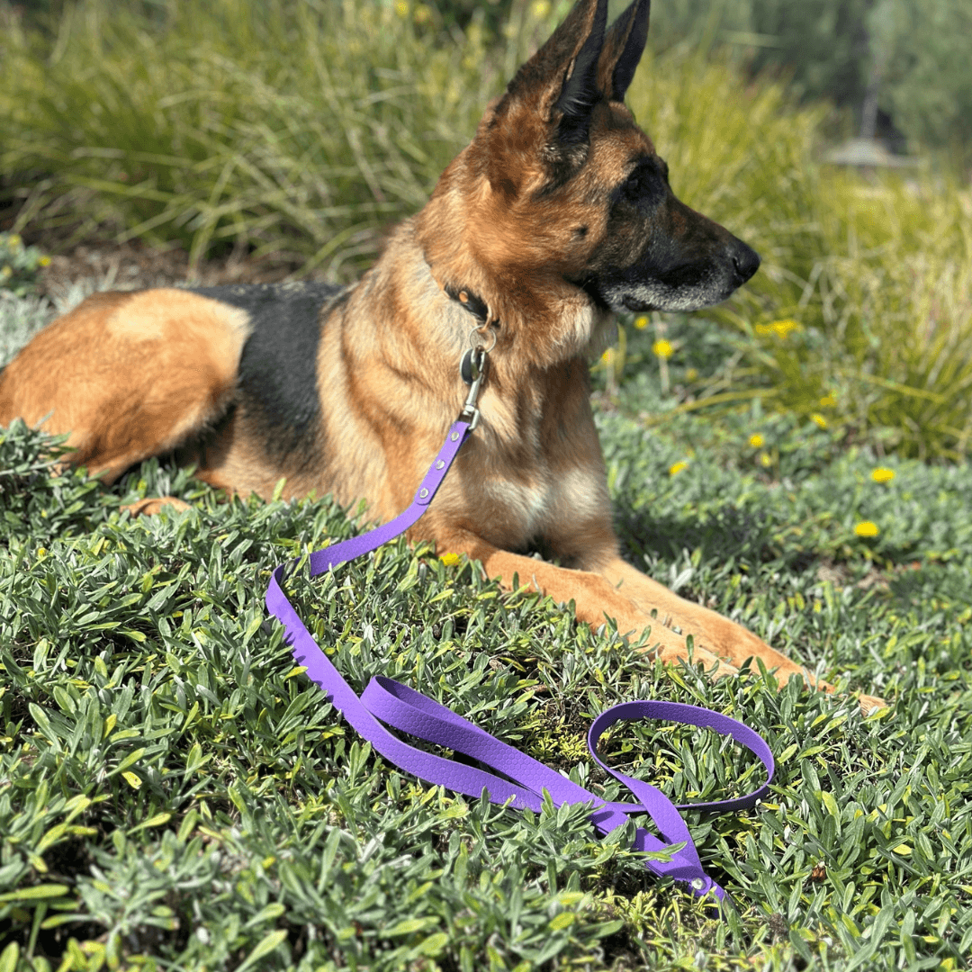 Purple - Long Line Dog Lead; Washable; Light; Strong; Comfortable; Waterproof