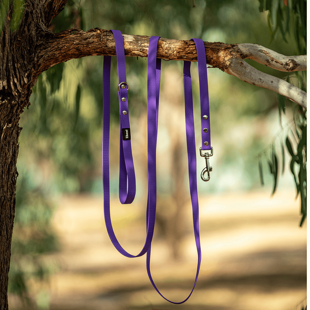 Purple - Long Line Dog Lead; Washable; Light; Strong; Comfortable; Waterproof